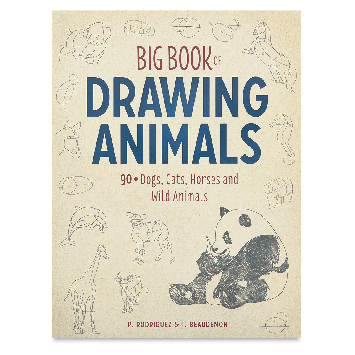 Big Drawing Book [Book]