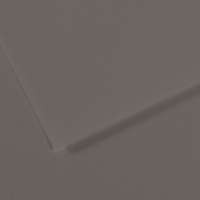 Canson Mi-Teintes Drawing Paper - 19" x 25", Graphite, Single Sheet