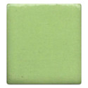 Coyote High Fire Underglaze - Sea Grass, 16 oz