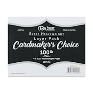 Paper Accents Cardmaker's Choice Cardstock Pack