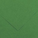 Canson Colorline Art Paper - 19" x 25", 150 gsm, Moss Green