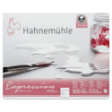 Hahnemühle Expressions Watercolor Block - 9.5" x 11.8", 20 Sheets, 300 gsm
