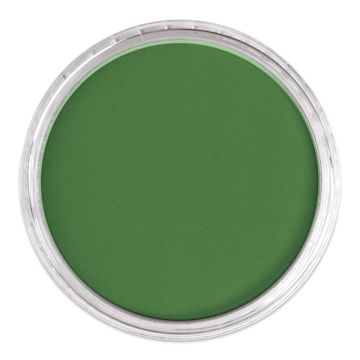 Open in modal - PanPastel Artists’ Painting Pastel - Permanent Green Shade, 640.3, lid off