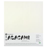 Yasutomo Asagami Paper