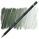 Derwent Colored Pencil - Cedar Green