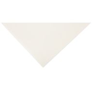 Grafix Clear Acetate Sheets