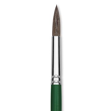 Open in modal - Blick Economy Pony Hair Brush - Round, Short Handle, Size 12 close-up