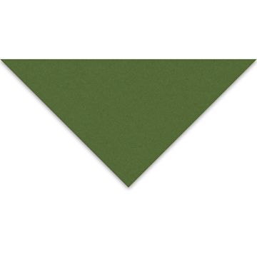 Open in modal - Crescent Select Alpha-Cellulose Matboard - 20" x 32, Spinach
