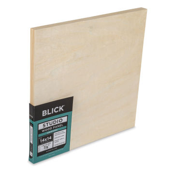 2 Blick Studio Canvas Boards for Painting Canvas Panels for Painting 11 X  14