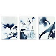 Clairefontaine Inkebana Notebooks Set