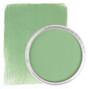 PanPastel Artist Painting Pastel - Chromium Oxide Green Light, 660.7