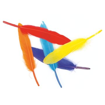 Creativity Street Duck Quills - Pile of 5 multicolored feathers
