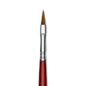 Escoda Bravo Light Ox Hair Brush - Long Filbert, Long Handle, Size 6