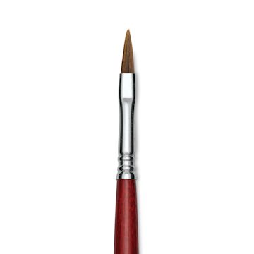 Open in modal - Escoda Bravo Light Ox Hair Brush - Long Filbert, Long Handle, Size 6 close up