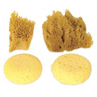 Royal & Langnickel Natural and Synthetic Artist Sponge Pack