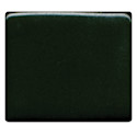 Coyote High Fire Underglaze - Cactus Green, 16 oz