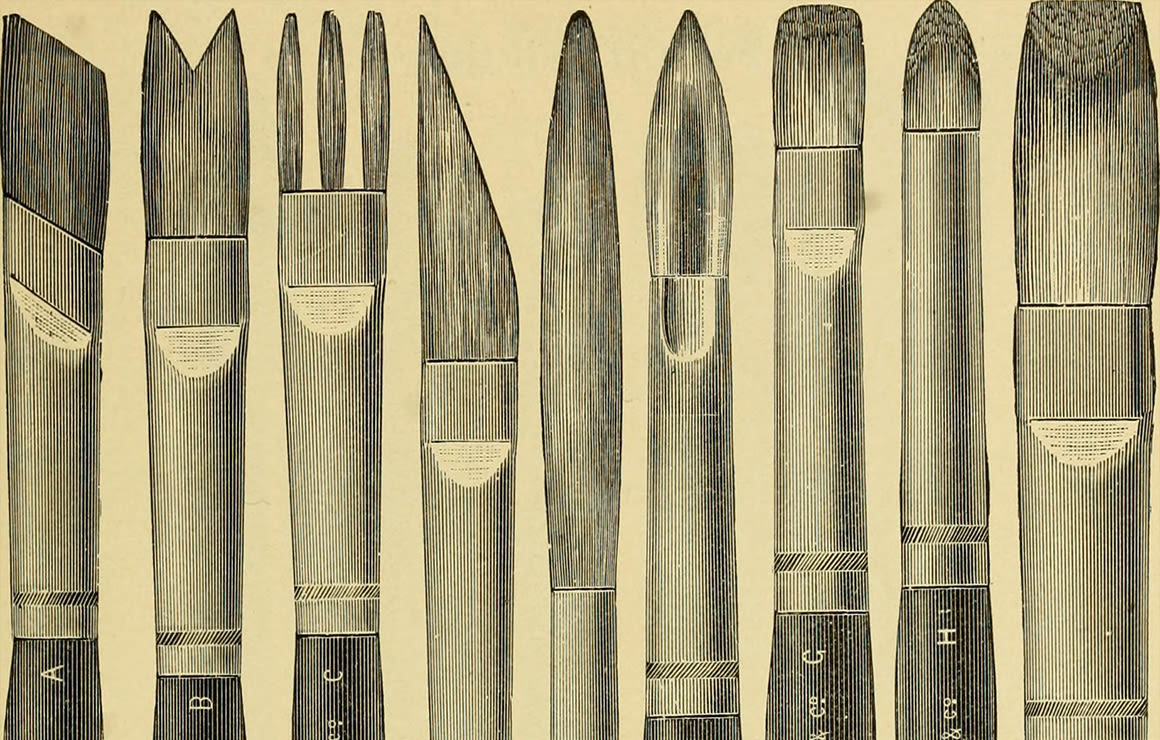 Ask BrushFacts 1160x740-4