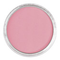 PanPastel Artists Painting Pastel - Pearlescent Red, 953.5