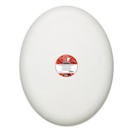 Fredrix Convexo Canvas - 16" x 20", Oval