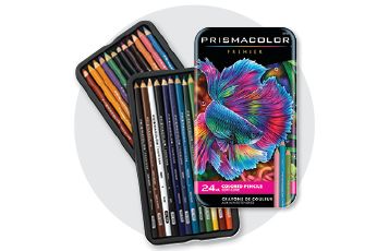 LP - Category Bubbles-colored pencils