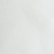 Caravaggio Acrylic-Primed Cotton Canvas Rolls