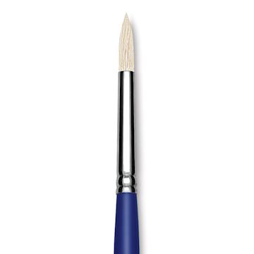 Open in modal - Blick Scholastic White Bristle Brush - Round, Size 8 close up