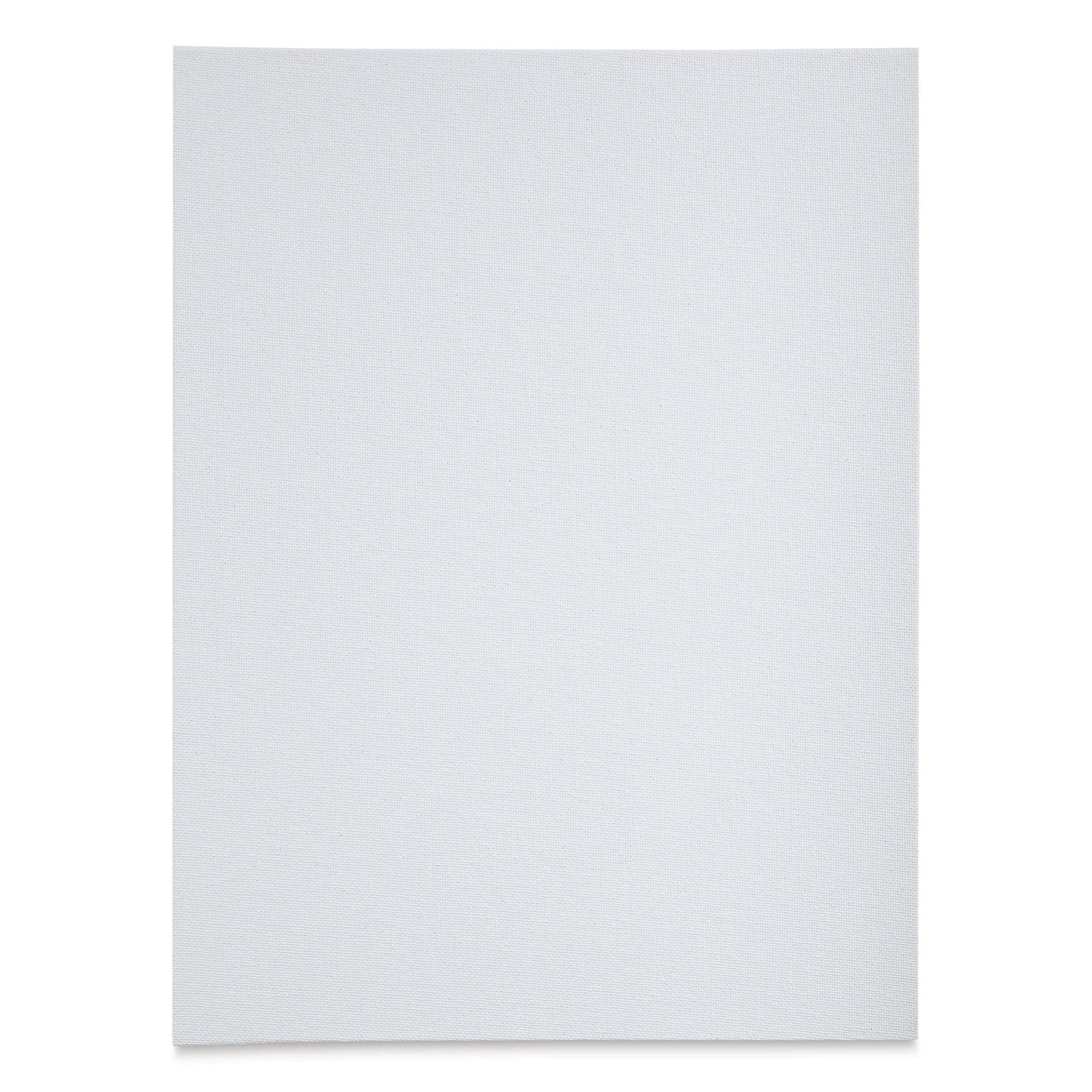 2 Blick Studio Canvas Boards for Painting Canvas Panels for Painting 11 X  14