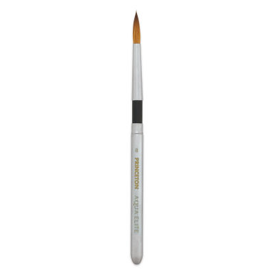 Princeton Aqua Elite Series 4850 Synthetic Brush - Travel Round, Size 8 (cap being used as a handle)
