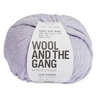 Wool and the Gang Crazy Sexy Wool Yarn