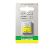 Winsor & Newton Cadmium-Free Professional Watercolor Half Pans