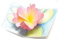 water-lily-origami-pop-up-card