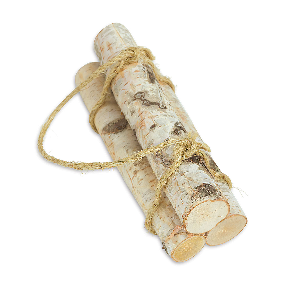 Roped Bundle of Birch Logs