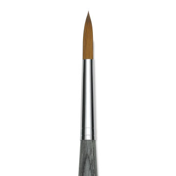 Da Vinci Colineo Synthetic Kolinsky Sable Brush - Round, Size 8, Short Handle (close-up)