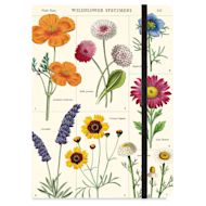 Cavallini Wildflower Large Notebook