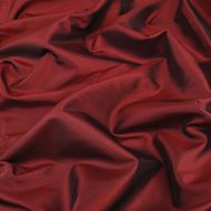 Camelot Two Tone Taffeta