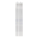 Silver Brush Silverwhite Soft Synthetic Brushes - Plein Air Brushes, Set of 5, Long Handle