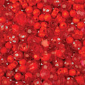 John Bead Star Mix Craft Bead Set - Red