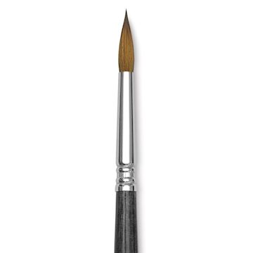 Open in modal - Blick Studio Sable Brush - Round, Short Handle, Size 8 close up