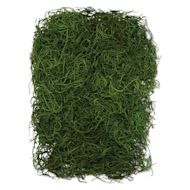 SuperMoss Preserved Spanish Moss