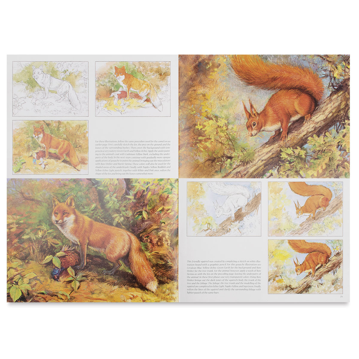 Leonardo Collection Animals | BLICK Art Materials