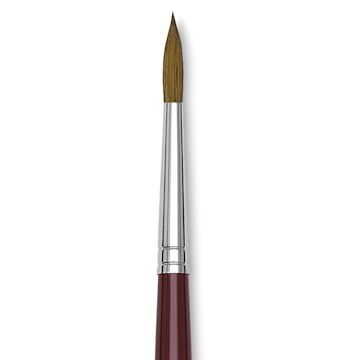 Open in modal - Da Vinci Kolinsky Red Oil Sable Brush - Round, Long Handle, Size 12 close up