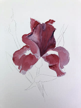 Carol Mann Watercolor - Bundles | BLICK Art Materials