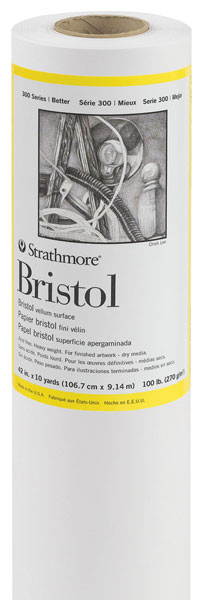 Strathmore Bristol Board, 300 Series, Regular, 22-1/2 x 28 - Sam