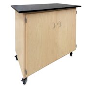 Hann Mobile Project Support Cabinet