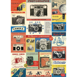 Cavallini Vintage Cameras Gift Wrap