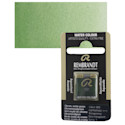 Rembrandt Watercolor Half Pan - Chromium Oxide Green