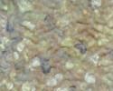 Plastruct Patterned Sheets, Rock Embankment, 1:100 Scale 