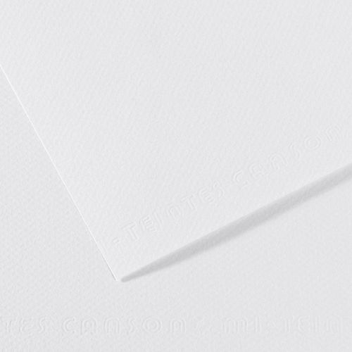 Canson Mi-Teintes Drawing Paper - 19 x 25, White, Single Sheet