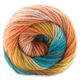 Premier Yarn Colorfusion DK Yarn - Painted Desert, 325 yards close-up