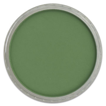 PanPastel Artists’ Painting Pastel - Permanent Green Shade, 640.3